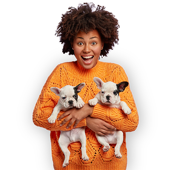 Pet Grooming, Boarding, and Mobile Grooming Services Pet Bath and Beyond